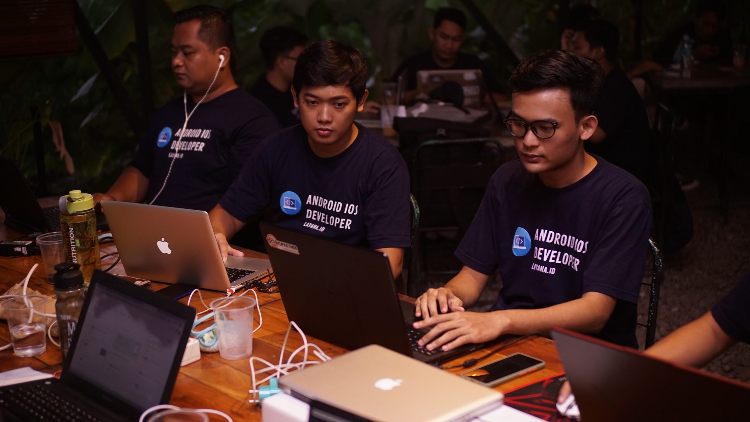 Programmer Layana ID